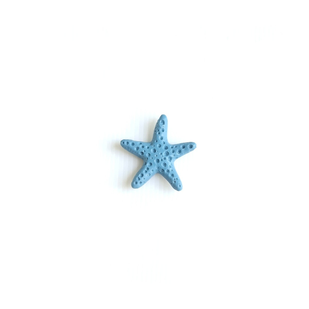 Starfish Powder Blue Brooch